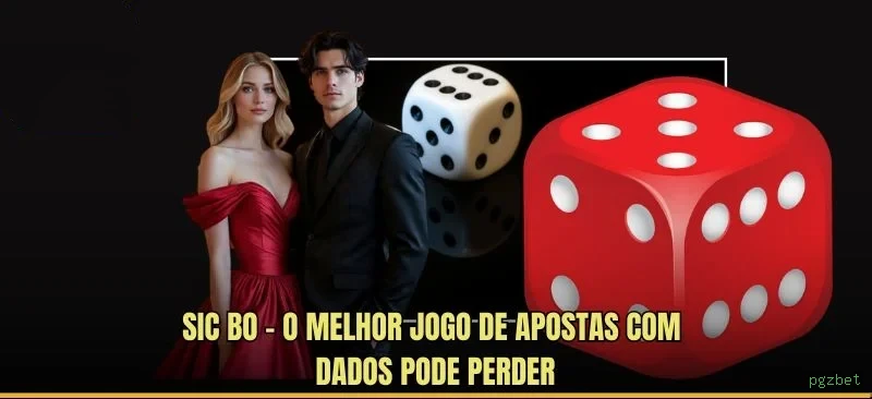 Controles de paJogonto e BRL em pgzbet